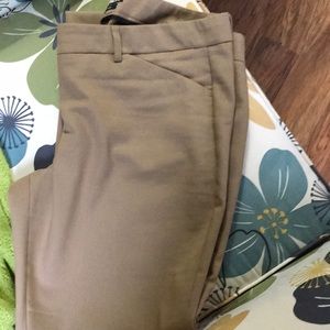 Express editor Khaki  size 12 R